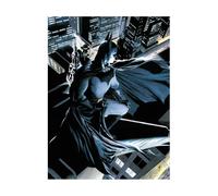 Sd Toys Dc Universe Batman Watcher Poster di Vetro Poster