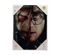 Sd Toys Harry Potter Half Face Harry&voldemort Poster di Vetro