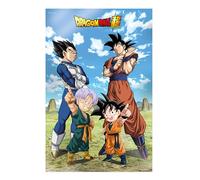 SD TOYS - Poster 3D Battle of Gods Goku Vegeta Family Dragon Ball Super - Misure 38 x 58 cm