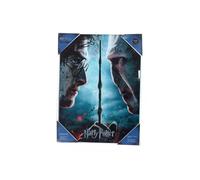 Sd Toys E Poster Di Vetro Di Voldemort Harry Potter