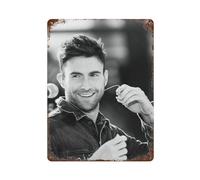 SDAEWUBB Manifesto del cantante maschio Adam Levine Decorazione da parete Art Metal Tin Poster Modern Bar Decorations40x30cm