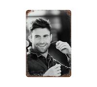 SDAEWUBB Manifesto del cantante maschio Adam Levine Decorazione da parete Art Metal Tin Poster Modern Bar Decorations30x20cm