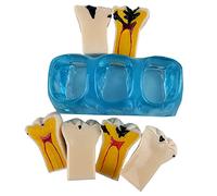 SdaryWare Modello di Denti con Carie Dentale - Modello di smontaggio dei Denti con Carie 4 Volte - Modello di smontaggio dei Denti con Carie per Dentisti, pazienti, Insegnanti e Student,Blue
