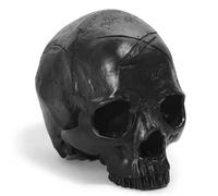SdaryWare Modello di Teschio Umano Adulto a grandezza Naturale - Modello di Teschio Umano 1:1 - per Decorazioni e Ornamenti per Feste di Halloween, Bianco,Black