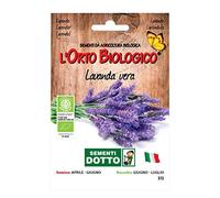 Sdd 11110315 AromLavanda, Multicolore