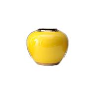 SDdPulse Elegante vaso ornamentale in ceramica placcata oro, vaso per la casa, moderno e semplice, bottiglia di fiori per casa, ufficio, decorazione interna ed esterna, camino, camera da letto, cucina