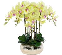 SDdPulse Orchidea artificiale artificiale 63 cm fiore artificiale con vaso in ceramica fiori finti in vaso finto fiori Phalaenopsis moderni orchidee finte molto naturali, giallo