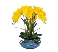 SDdPulse Orchidea artificiale con vaso in ceramica orchidee finte in seta, 50,8 cm, fiori artificiali Phalaenopsis orchidea artificiale per la casa, fiori finti molto naturali, giallo