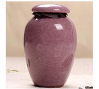 SDdPulse Piccola urna elegante per ceneri umane, per funerali, sepolture, colombario o casa, urna per ceneri 10/31, rosa scuro