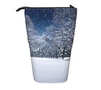 SDEGTHO Astuccio portapenne telescopico con scritta in inglese "Winter Snow Falling In The Park", organizer da ufficio pop-up