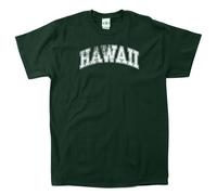 SDI NCAA Hawaii Rainbow Warriors 100-Percent Pre-Shrunk Vintage Arch Maglietta a Maniche Corte