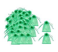 Sdlnklm 100 Pezzi Sacchetti Protezione Frutta Rete Esclusione Uva Barriera con Coulisse Materiale Durevole Elastico Adatti per Giardinaggio Orto Coltivazione, 13cmx18cm Verde