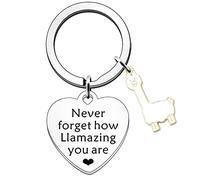 SDOFY Regali di lama Alpaca Portachiavi ispiratore regalo lama regalo per donne ragazze compleanno regali di Natale mai dimenticare come sei llamazing, Argento, Taglia unica