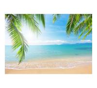 SDOTPMT 1,5x1m Sfondo per spiaggia tropicale Foglie di palma oceano isola mare scena sfondo per mare viaggio vacanza bambino coppia adulto ritratto foto studio oggetti di scena carta da parati