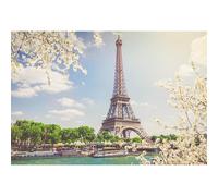 SDOTPMT 3x2,2m Parigi Torre Eiffel sfondo francese Prominente Senna fiume barche blu cielo bianco fiori paesaggio fotografia sfondo adulti matrimonio ritratti vacanza foto studio oggetti di scena