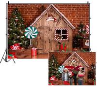 SDOTPMT 3x2.2m Sfondo di casa di pane di zenzero di Natale Cottage di legno grandi palme di menta pepere regali figure festive sfondo fotografico per bambini festa spara scene