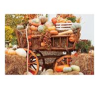 SDOTPMT 5x3ft Autunno Backdrop Zucca Autunno Raccolta Haystack Foglie di Acero Sfondi Autunno Ringraziamento Fotografia Sfondo per Bambini Compleanno Party Decor Photo Booth Props