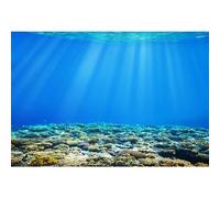 SDOTPMT 6x4ft Backdrop in poliestere mondo subacqueo Sotto il mare Luce sole sottomarina Deep Blue Acqua Piante acquatiche Fondo del corallo Marine Birthday Party Decor Photo Studio Props