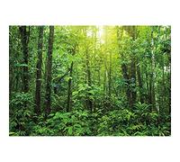 SDOTPMT 6x4ft Sfondo di poliestere paesaggio naturale graceful Sfondo foresta pluviale primavera giungla della luce del sole per il campeggio tema Banner Photo Studio Props