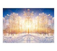 SDOTPMT 7x5ft Inverno Snowscape Polyester Backdrop Inverno Snow Fir Forest Luce del Sole Paesaggio Invernale Sfondo di fotografia di Natale di famiglia per Capodanno Decorazione Foto Props