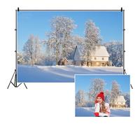 SDOTPMT 7x5ft Inverno Snowscape Polyester Backdrop Sfondi esterni mondo ghiaccio e neve Nuovo anno Holiday Photography Backdrop per famiglia Festa Natale Decor Photo Props
