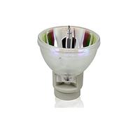 SDPOLHYGF Lampada di ricambio RLC-109 Cpmpatible sostituzione del proiettore lampada/lampadina compatibile con VIEWSONIC PA503W/PG603W/VS16907/PS501W/PS600W lampadina del proiettore