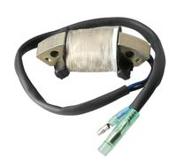 sDtESNB Bobina eccitatrice 3V1-06021 3V1060210M Compatibile con Motore fuoribordo 4 Tempi 8HP 9.8HP MSF Non Adatto