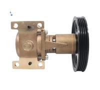 sDtESNB Pompa Acqua Grezza 21381693 Sostituzione per 21379102 Compatibile con Penta D3 JMP JPR VP0030DB