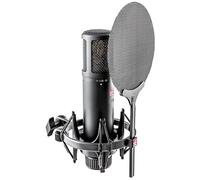 SE Electronics - Microfono SE2200