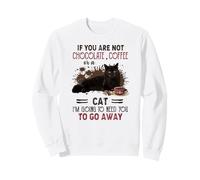 Se Non Sei Un caffè al Cioccolato o Un Gatto Felpa