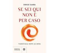 Se sei qui non è per caso. Viaggio dalla mente all'anima