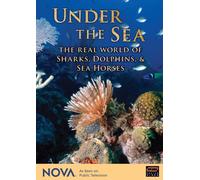 Sea Creatures Set - Sea Creatures Set