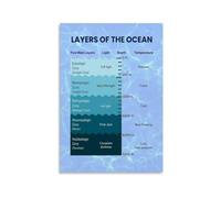 Sea Depth Zones Poster Marine Science Aid