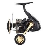 SEA DREAM - BG SW mulinello SPINNING DAIWA (14000 H)