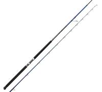 SEA DREAM - SGS6 3,05 MT 60-150 GR SHORE JIGGING SAVAGE GEAR