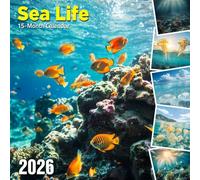 Sea Life 2026 Calendar: Underwater wonders from reef to deep sea