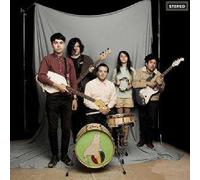 Sea Lions - Everything You Always Wanted