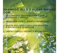 Sea Magik Kit Seaweed: shampoo (300 ml) e trattamento (150 ml)
