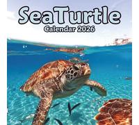 Sea Turtle Calendar 2026: 12 Months Organizer For Home & Office From January to December