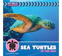 Sea Turtles in the Wild