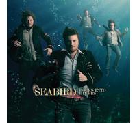 SEABIRD - ROCKS INTO RIVERS