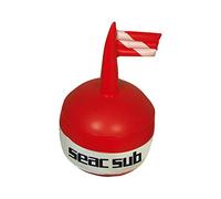 BOA SUB SEAC CON SAGOLA PESCA APNEA SEGNA SEGNALAZIONE IMMRRSIONI SUBACQUEA MARE