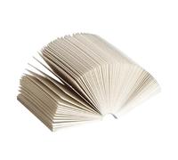 SEAFRONT Mini Dizionario di Carta per Scrapbooking, Materiale Vintage Leggero per Diario Spazzatura e Album di Ritagli, 100 Pezzi