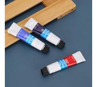 SEAFRONT Pigmento per Acquerello con Colori Brillanti, Elevato Potere Colorante e Applicazione per Pittori Professionisti (24 colori)