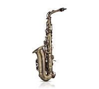 SEAFRONT Sassofono Contralto Kit Completo per Studenti Principianti Ottone Mib Mi Bemolle Strumento a Fiato con Fa Acuto Acuto Custodia Imbottita con Finitura Anticata per la Pratica Classica del Jazz