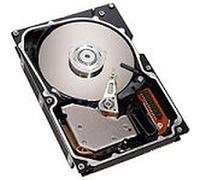 Seagate Cheetah 10K, 6 146 GB hard disk U320 68 pin 10krpm