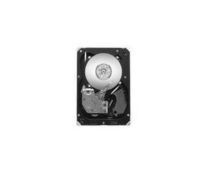 Seagate Cheetah 15K.7 - Disco rigido - 300 GB - Interno - 8,9 cm (3,5 ") - SAS -2 - 15000 giri / min - tampone: 16 MB (ST330065 NEW