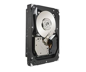 Seagate Cheetah 15K.7 White Label - Hard disk interno 8,9 cm 3,5 pollici, 15000 RPM, tempo di accesso 3,4 ms, cache 16 MB SAS II, capacità: 600 GB, modello: ST3600057SS