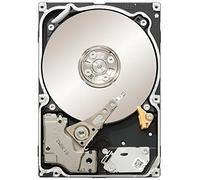 Seagate Hard disk ST91000640NS CONSTELLATION.2