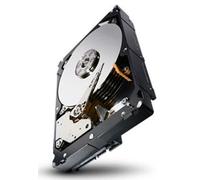 Seagate Constellation 500GB SATA, 7200rpm